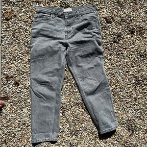 New Everlane Cheeky 90’s Jean 31 Short